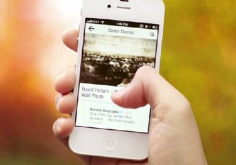 SEO优化设置帮助